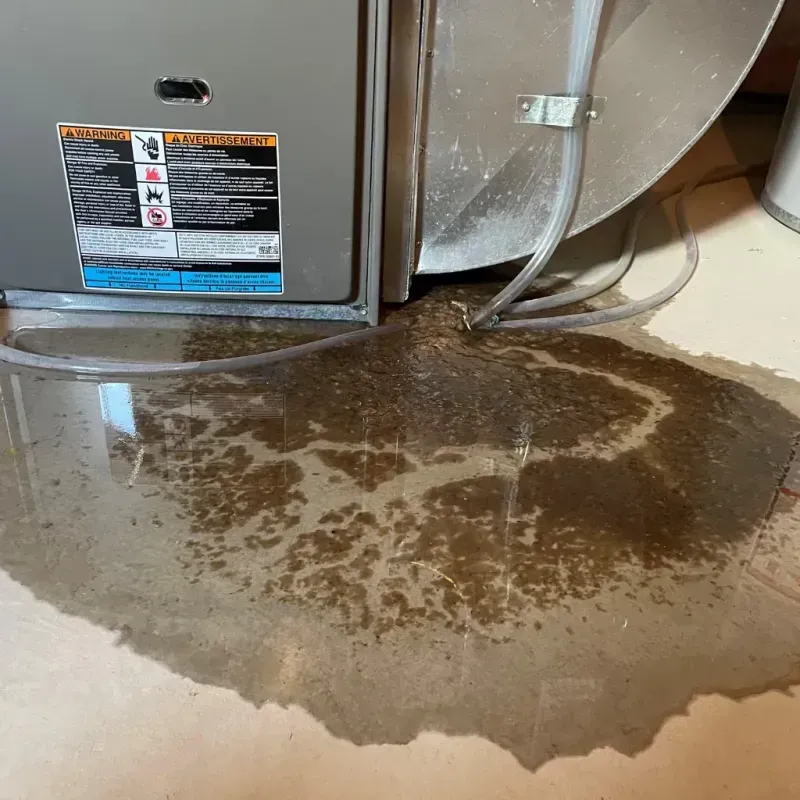 Appliance Leak Cleanup in Otsego, MI